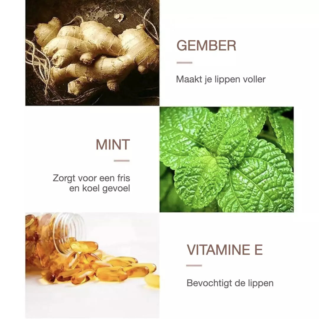De formule van de plumping lipfiller set van Derol wordt uitgelegd middels drie afbeeldingen. Een afbeelding met gember, munt en vitamine E. 